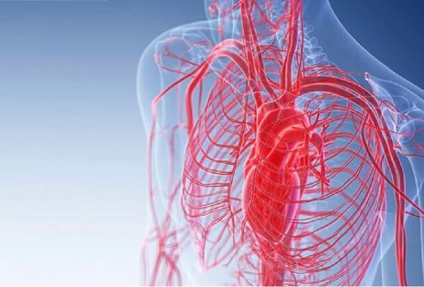 بررسی گرفتگی رگ های خونی با دستگاه تصویربرداری لیزری، پایش آتش قبل از شعله ور شدن