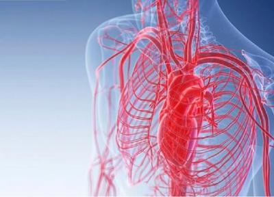 بررسی گرفتگی رگ های خونی با دستگاه تصویربرداری لیزری، پایش آتش قبل از شعله ور شدن