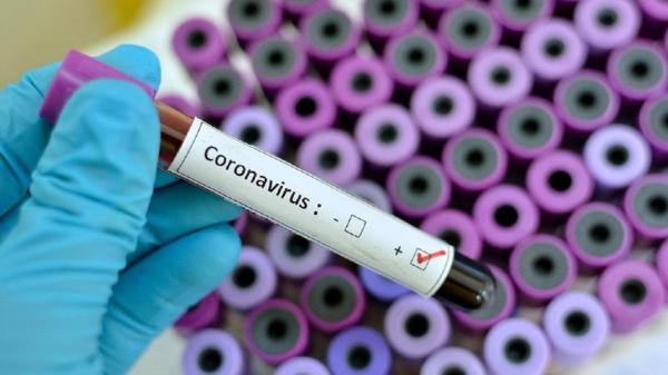 شناسایی 26 مورد تازه مبتلا به کرونا ویروس در ایلام